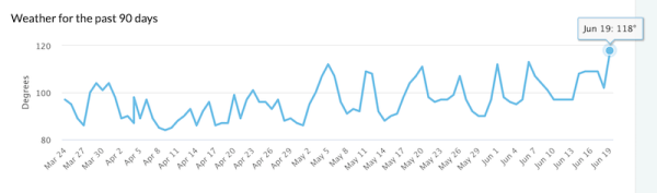 
            Неподтвержденный апдейт Google набирает обороты
        
