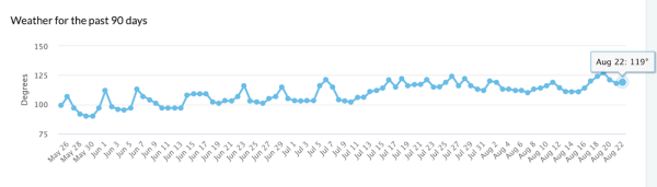 
            Google начал августовское обновление основного алгоритма
        