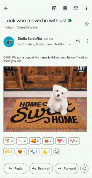 Gmail реализует возможность реагировать на письма с помощью эмодзи
Gmail реализует возможность реагировать на письма с помощью эмодзи