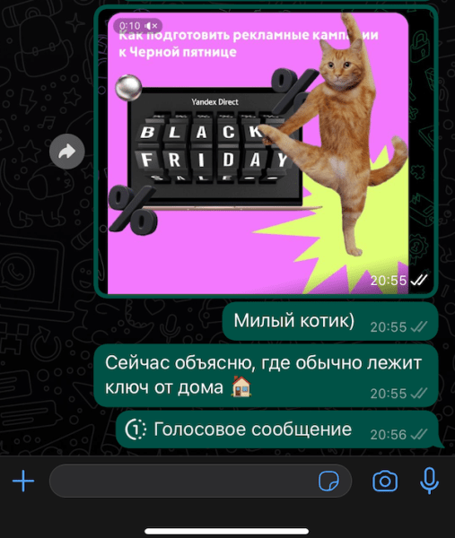 В WhatsApp появилась функция однократного прослушивания для голосовых сообщений
В WhatsApp появилась функция однократного прослушивания для голосовых сообщений